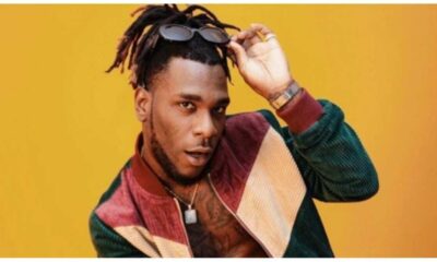 Burna Boy: Biography, Family, Education, Career And Net Worth