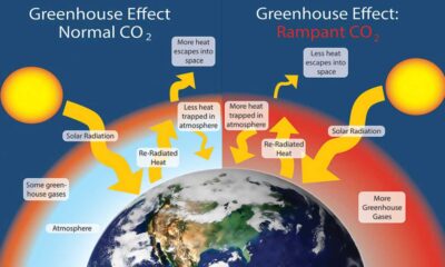 Greenhouse Effect And Its Impact On Climate Change