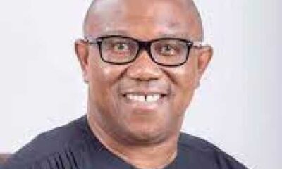 Peter Obi Biography, Family, Education, Career And Net Worth