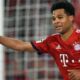 Serge Gnabry: The Rise Of A Football Superstar