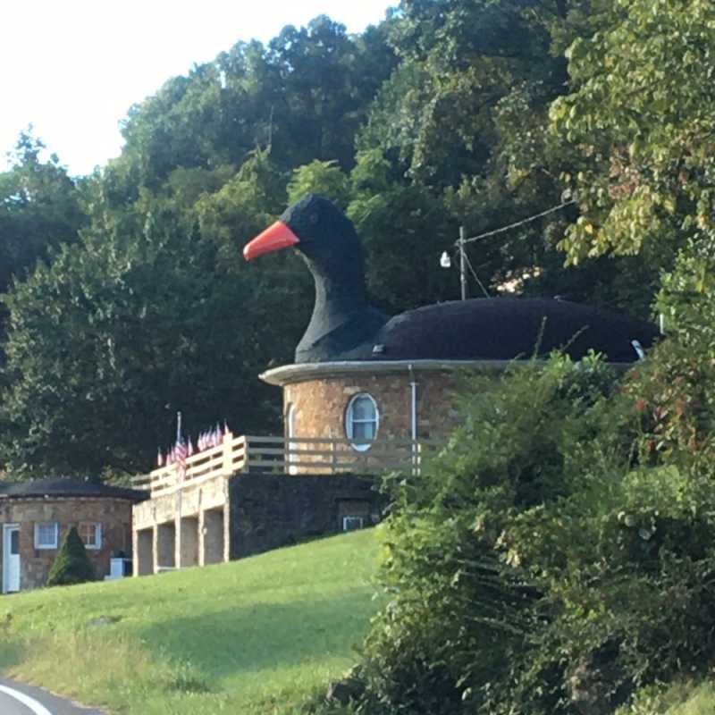 Alice Lloyd College A Hidden Gem in Pippa Passes — Times News Global