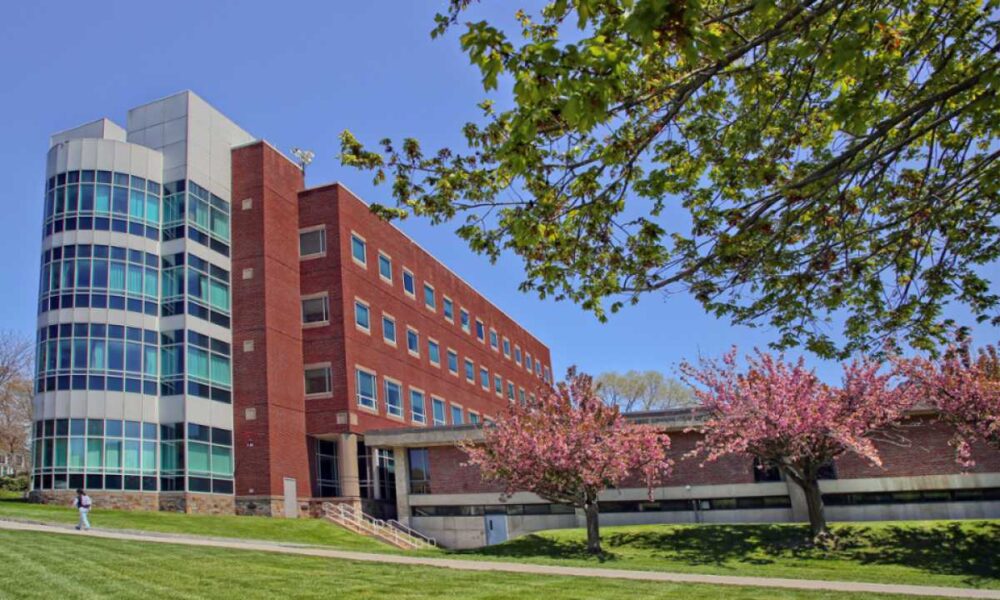 Brandeis University A Hub of Academic Excellence — Times News Global