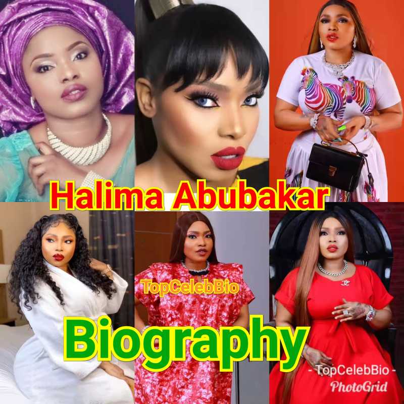 Halima Abubakar: Biography, Family, Education, Career And Net Worth