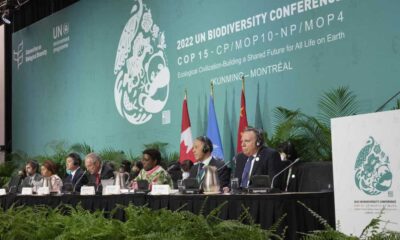 Historic Agreement Reached In International Climate Conference