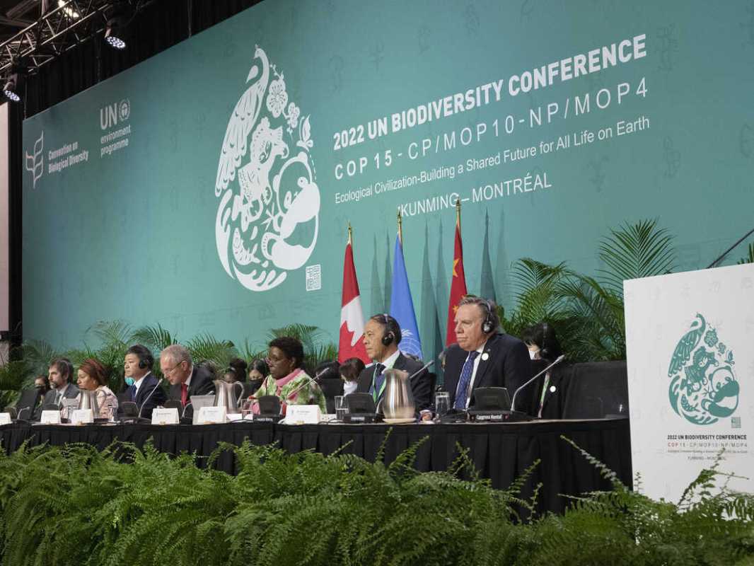 Historic Agreement Reached In International Climate Conference