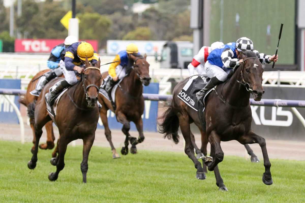 Massive Bets Placed on Melbourne Cup Favorite Vauban — Times News Global