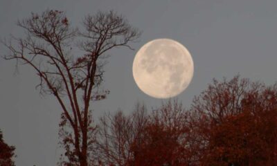 November's Beaver Moon To Shine Brightly For Skygazers