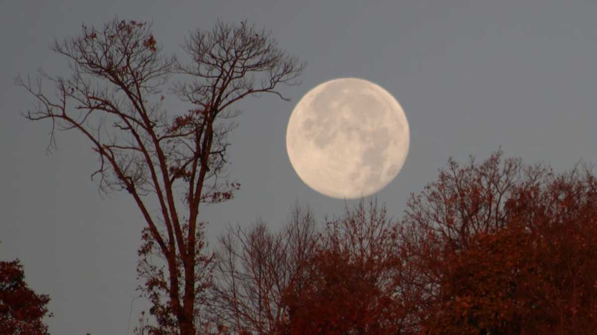 November's Beaver Moon To Shine Brightly For Skygazers