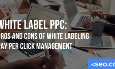 Outsourcing White Label Ppc: Pros And Cons