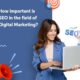 Seo Marketing Digital: What It Entails