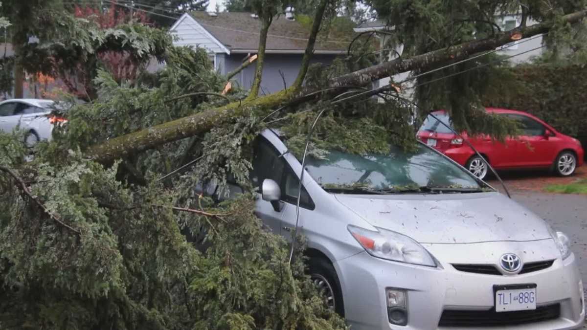 Tens Of Thousands Without Power After Overnight Storm Hits Bcs South Coast — Times News Global 9740