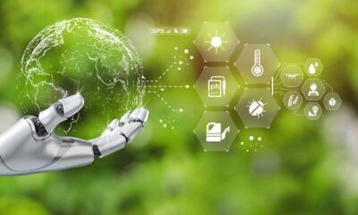 The Role Of Ai In Environmental Conservation