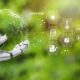 The Role Of Ai In Environmental Conservation