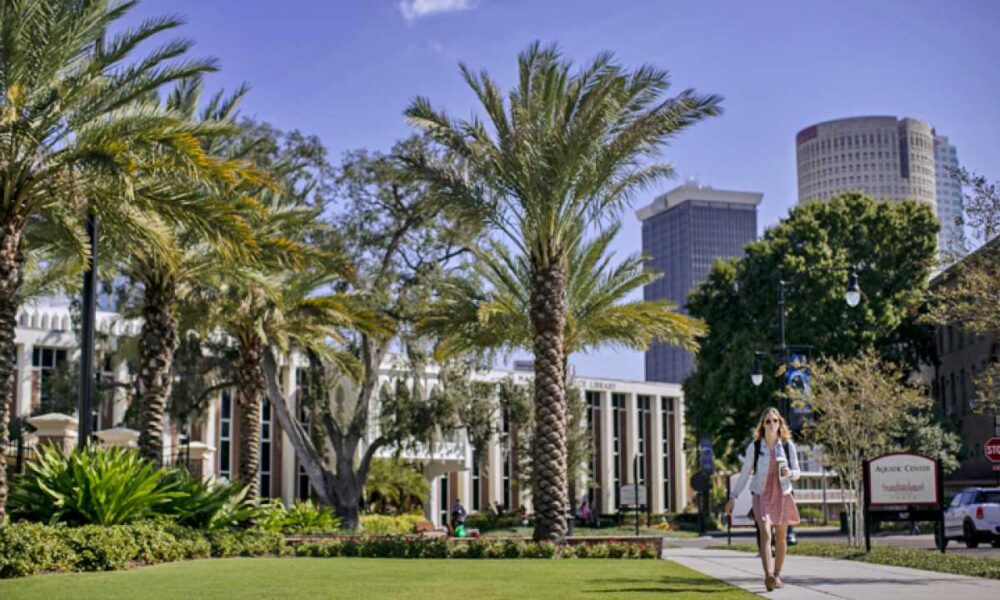 The University of Tampa: A Comprehensive Overview — Times News Global