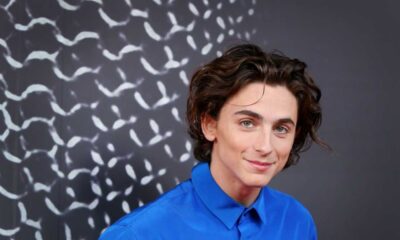 Timothée Chalamet: Biography, Family, Education, Career And Net Worth