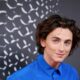 Timothée Chalamet: Biography, Family, Education, Career And Net Worth