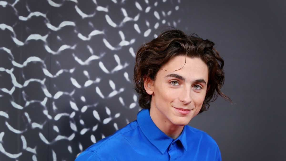 Timothée Chalamet: Biography, Family, Education, Career And Net Worth