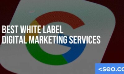 Understanding Digital Marketing Agency White Label Services