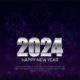 2024: A Joyous Start To Happy New Year Celebrations