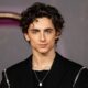 Actor Timothee Chalamet Nominated For Best Performance In Drama Film