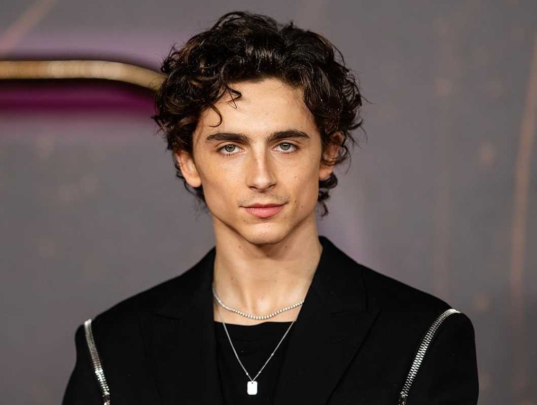 Actor Timothee Chalamet Nominated For Best Performance In Drama Film