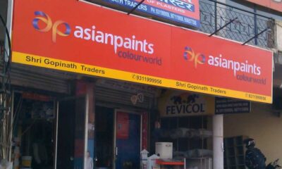 Asian Paints Stock Price Sees Decrease, Company Releases Investor Presentation