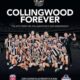 Collingwood's 2023 Premiership Journey: A Tale Of Resilience And Triumph