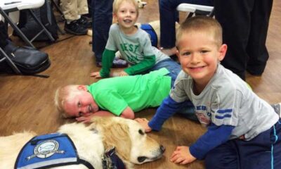 Community Rallies To Support Animal Therapy Program After Devastating Fire At Stillwater Farm