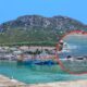 Famous Pair Of Orcas, Port And Starboard, Make A Splash In Kalk Bay Harbour