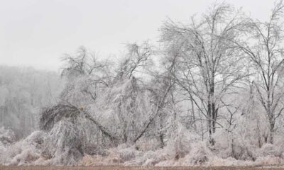 Freezing Rain Warning In Windsor Essex And Chatham Kent