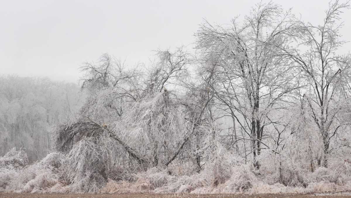 Freezing Rain Warning In Windsor Essex And Chatham Kent