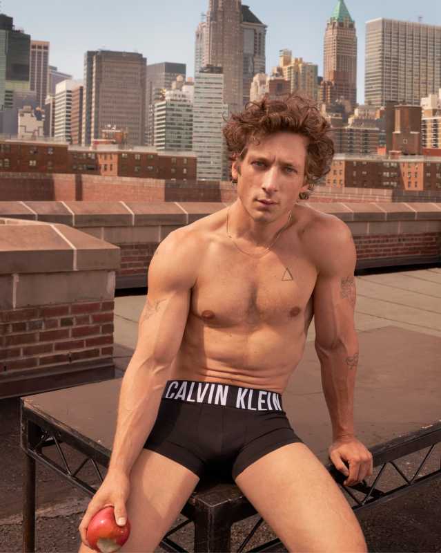 Jeremy Allen White Stars In New Calvin Klein Ad