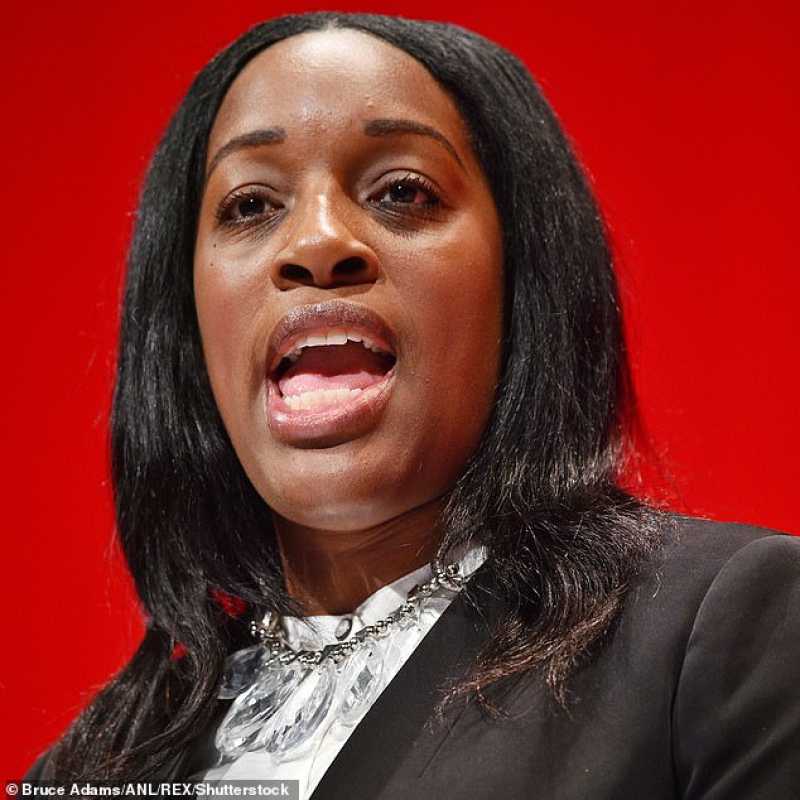 Labour Mp Suspended For Controversial Holocaust Memorial Day Post