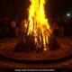 Lohri 2024: Date, History, Significance, And Celebration Of Punjab's Harvest Festival