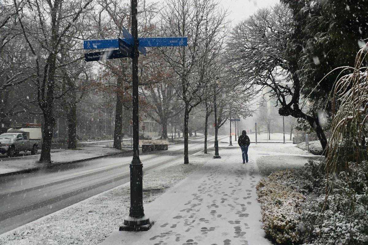 Lower Mainland Braces For Second Round Of Snow And Freezing Rain