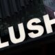 Lush Cosmetics Faces Cyberattack As Akira Group Claims Responsibility