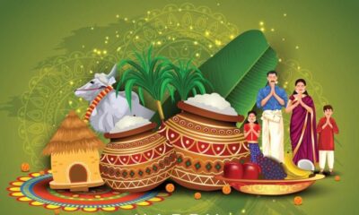 Makar Sankranti 2024: Celebrating The Festival Of Harvest And Sun's Transition