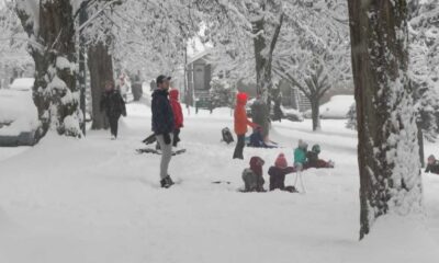 Metro Vancouver And Fraser Valley Schools Closed Due To Winter Storm