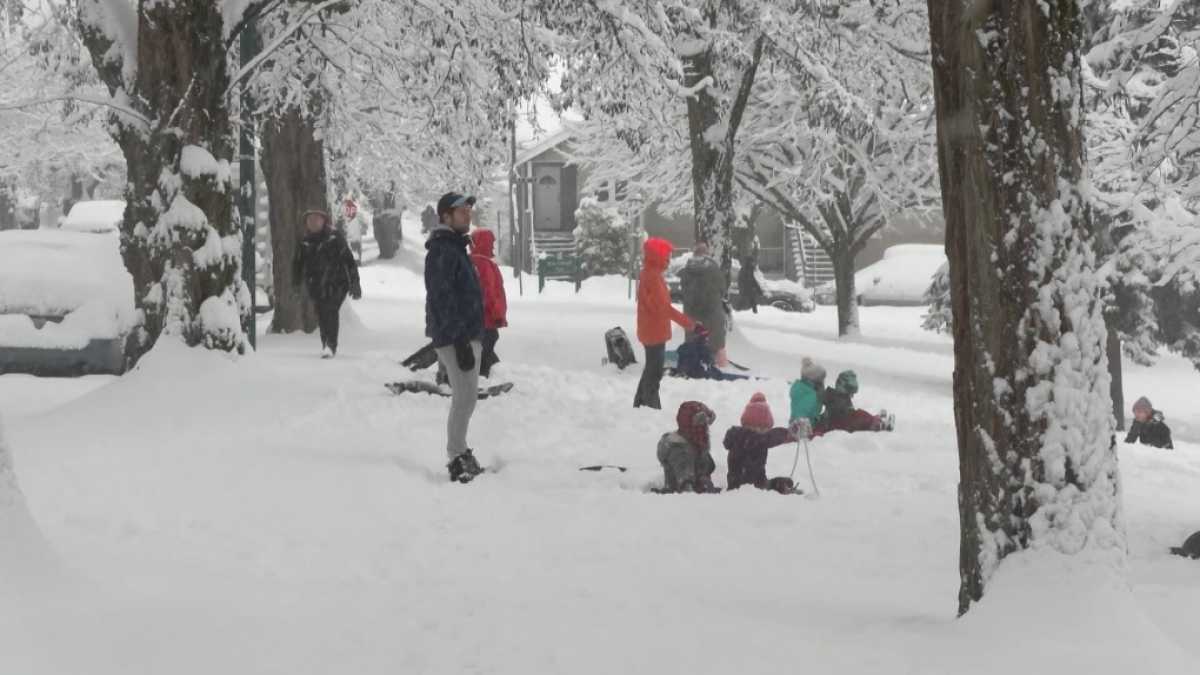 Metro Vancouver And Fraser Valley Schools Closed Due To Winter Storm