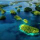 Pacific Island Nations Take Action To Protect Marine Sanctuaries From Industrial Fishing