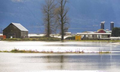 Pemberton Braces For Another Round Of Flooding As Rain Continues To Pour