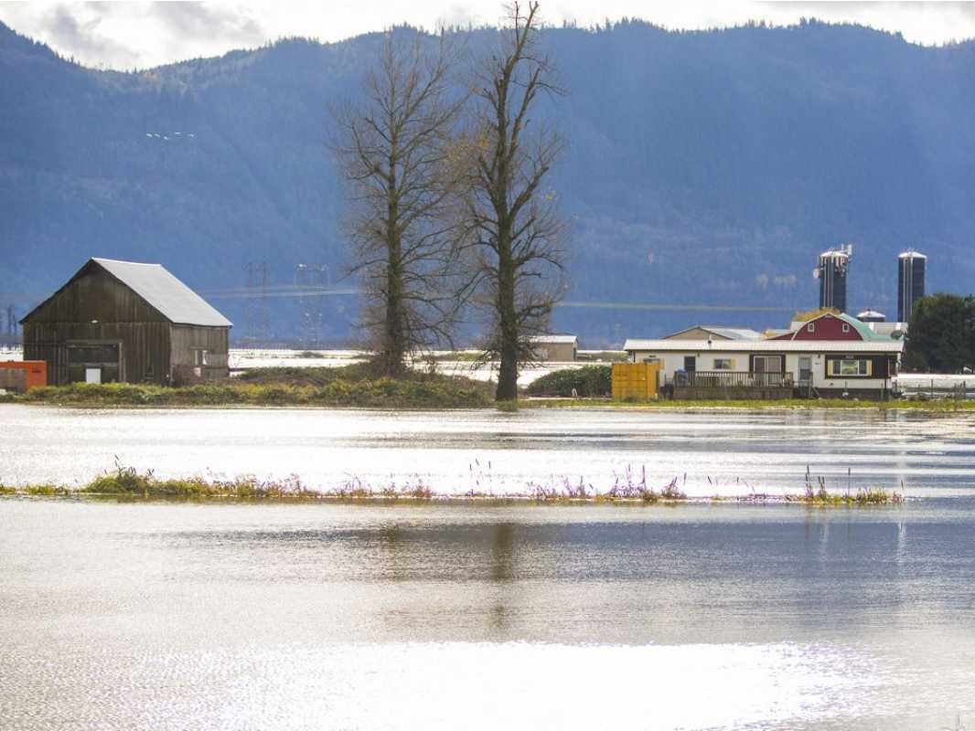 Pemberton Braces For Another Round Of Flooding As Rain Continues To Pour