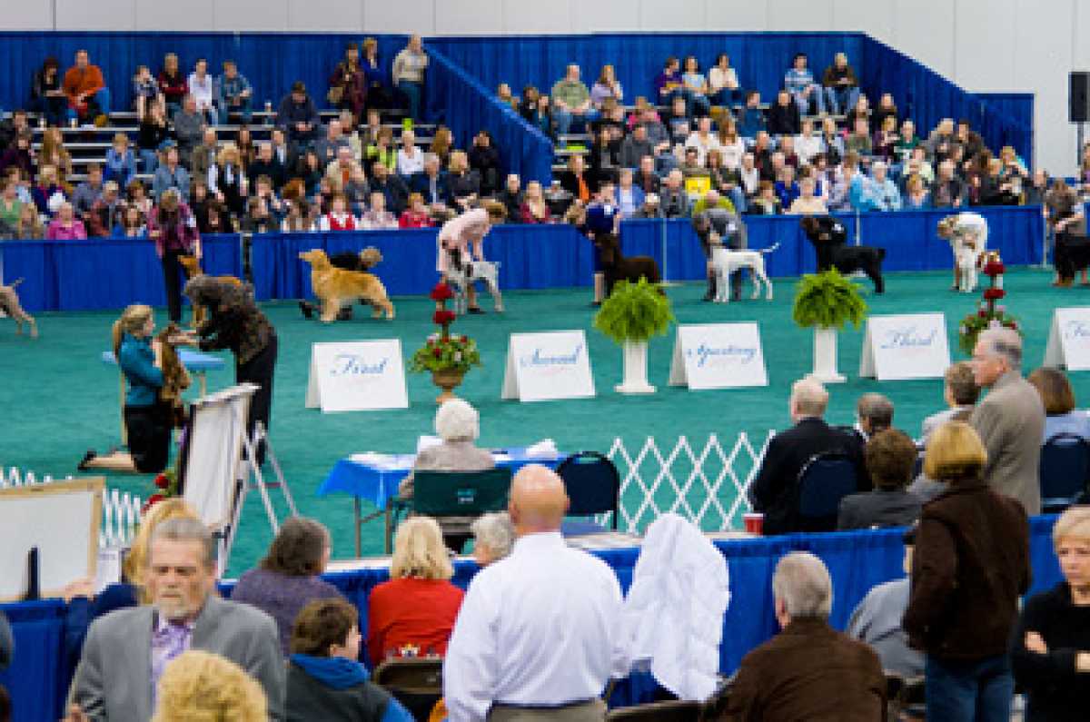 Rose City Classic Dog Show: Portland Expo Center Turns Into Canine Wonderland