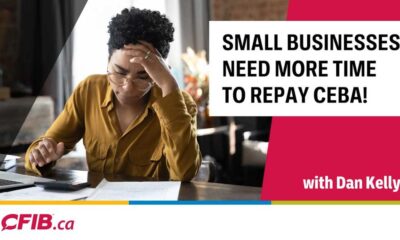 Small Businesses Struggle To Repay Ceba Loans On Time