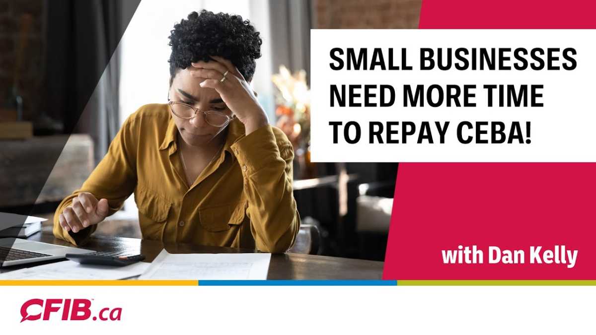 Small Businesses Struggle To Repay Ceba Loans On Time