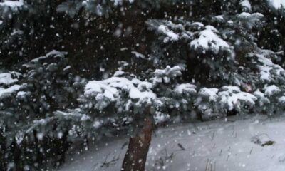 Snow Squall Warning In Effect For London, Ontario Region