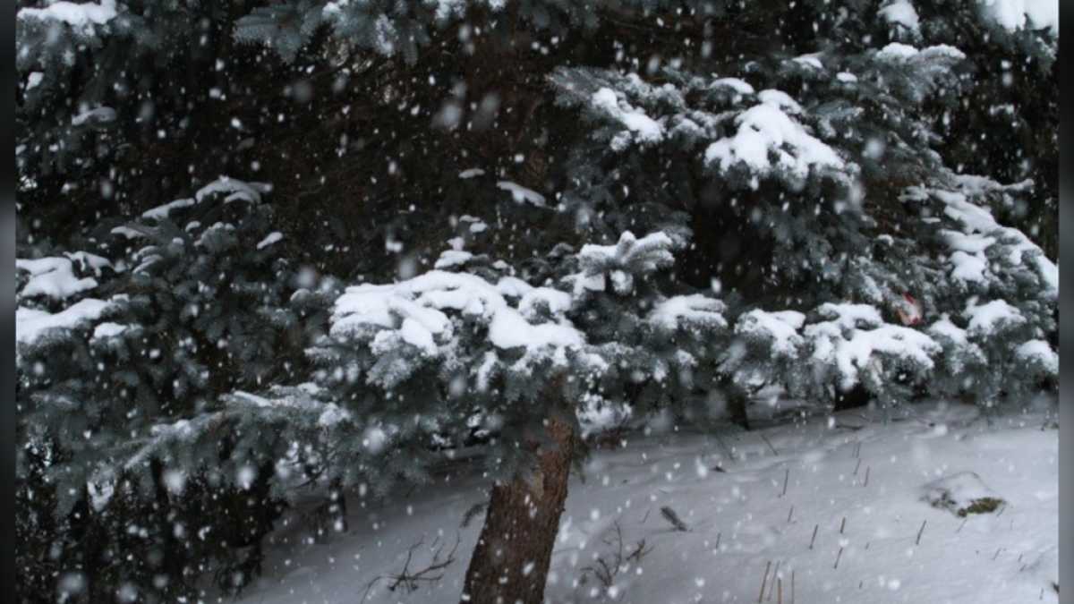 Snow Squall Warning In Effect For London, Ontario Region