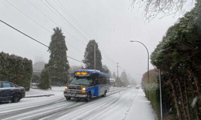 Snowstorm Shuts Down Metro Vancouver Schools, Bringing Joy To Kids And Chaos To Working Parents