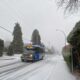 Snowstorm Shuts Down Metro Vancouver Schools, Bringing Joy To Kids And Chaos To Working Parents