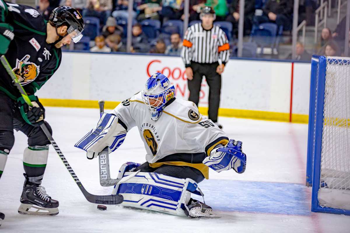 St. John's Local Makes Echl Comeback After 10 Years